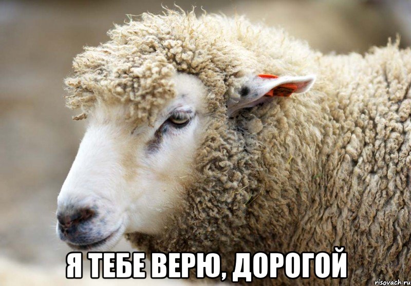  я тебе верю, дорогой