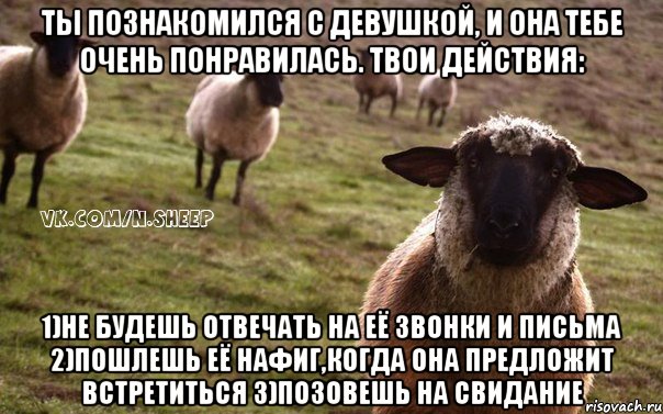 ты познакомился с девушкой, и она тебе очень понравилась. Твои действия: 1)не будешь отвечать на её звонки и письма 2)пошлешь её нафиг,когда она предложит встретиться 3)позовешь на свидание, Мем  Наивная Овца