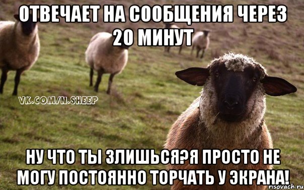 Отвечает на сообщения через 20 минут Ну что ты злишься?Я просто не могу постоянно торчать у экрана!, Мем  Наивная Овца