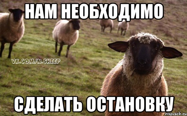 Нам необходимо СДЕЛАТЬ ОСТАНОВКУ, Мем  Наивная Овца