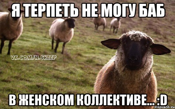 Я ТЕРПЕТЬ НЕ МОГУ БАБ В ЖЕНСКОМ КОЛЛЕКТИВЕ... :D, Мем  Наивная Овца