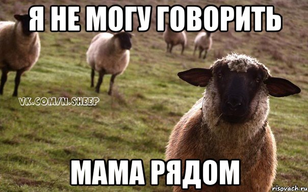 я не могу говорить мама рядом, Мем  Наивная Овца