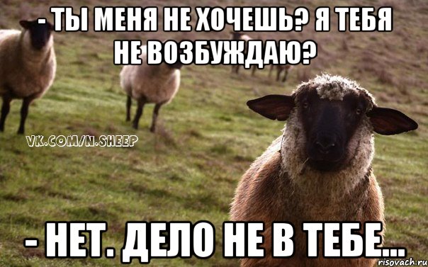 - ты меня не хочешь? я тебя не возбуждаю? - нет. дело не в тебе..., Мем  Наивная Овца