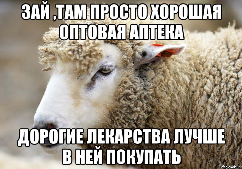 Зай ,там просто хорошая оптовая аптека Дорогие лекарства лучше в ней покупать