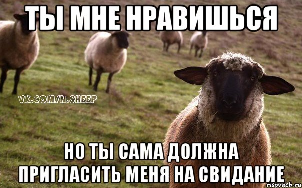 ты мне нравишься но ты сама должна пригласить меня на свидание, Мем  Наивная Овца