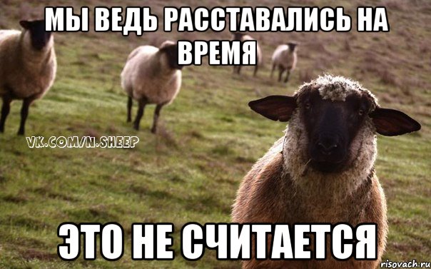 мы ведь расставались на время это не считается, Мем  Наивная Овца