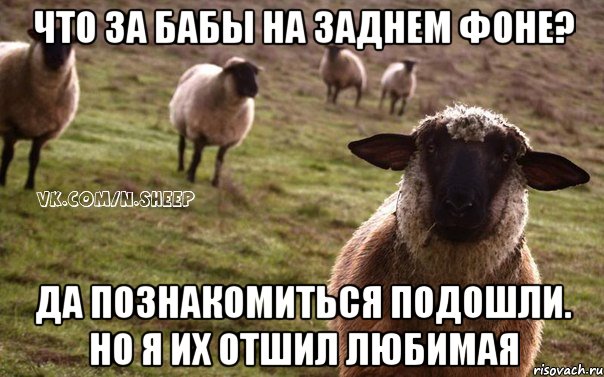 Что за бабы на заднем фоне? Да познакомиться подошли. Но я их отшил любимая, Мем  Наивная Овца