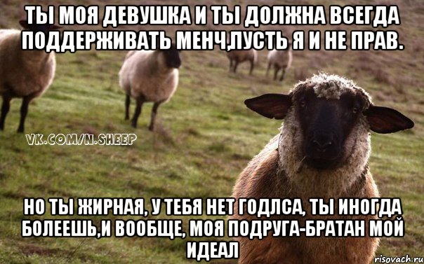 Ты моя девушка и ты должна всегда поддерживать менч,пусть я и не прав. Но ты жирная, у тебя нет годлса, ты иногда болеешь,и вообще, моя подруга-братан мой идеал, Мем  Наивная Овца