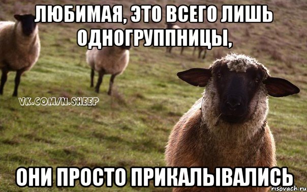 Любимая, это всего лишь одногруппницы, они просто прикалывались, Мем  Наивная Овца