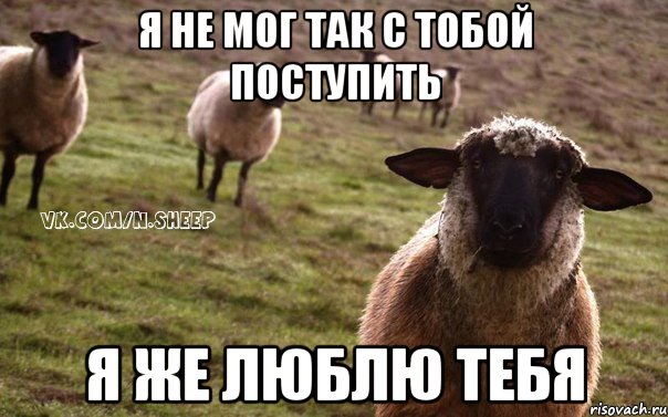 я не мог так с тобой поступить я же люблю тебя, Мем  Наивная Овца