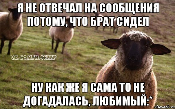 я не отвечал на сообщения потому, что брат сидел ну как же я сама то не догадалась, любимый:*, Мем  Наивная Овца