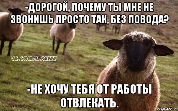 -дорогой, почему ты мне не звонишь просто так, без повода? -не хочу тебя от работы отвлекать., Мем  Наивная Овца