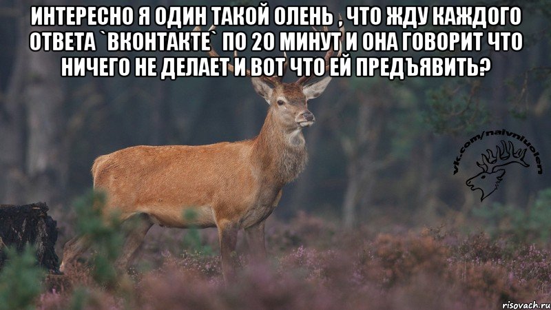 Интересно я один такой олень , что жду каждого ответа `вконтакте` по 20 минут и она говорит что ничего не делает и вот что ей предъявить? , Мем Наивный олень v3