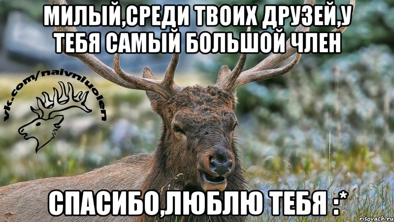 милый,среди твоих друзей,у тебя самый большой член спасибо,люблю тебя :*