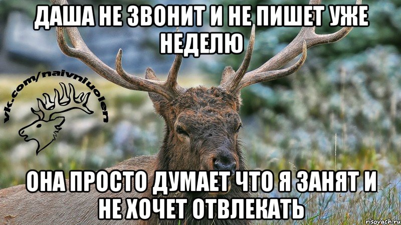 Даша не звонит и не пишет уже неделю она просто думает что я занят и не хочет отвлекать
