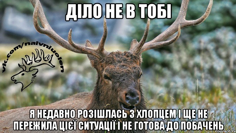 діло не в тобі я недавно розішлась з хлопцем і ще не пережила цієї ситуації і не готова до побачень