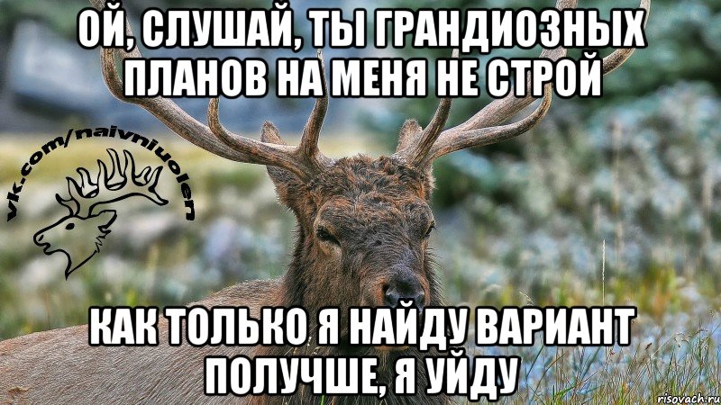 Ой, слушай, ты грандиозных планов на меня не строй как только я найду вариант получше, я уйду