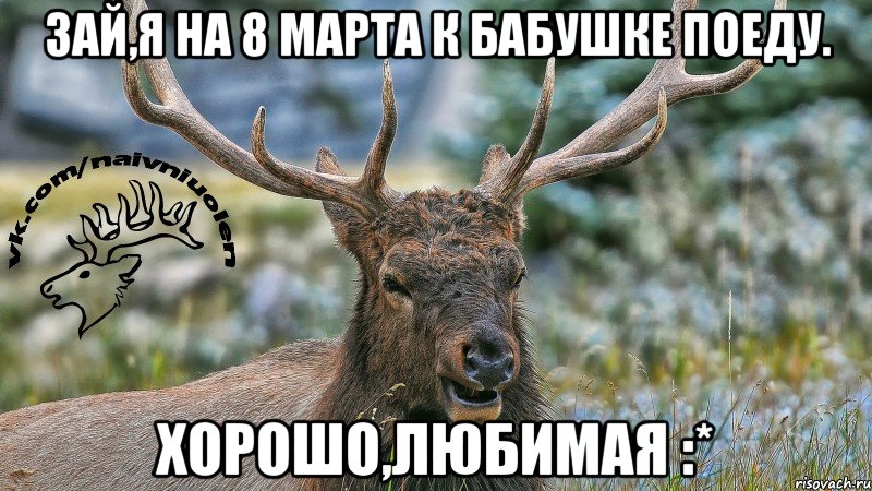 зай,я на 8 марта к бабушке поеду. хорошо,любимая :*