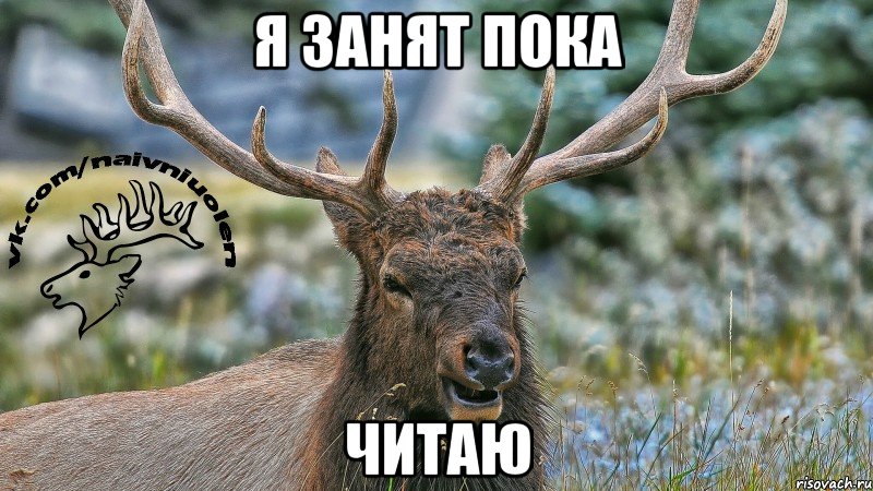Я ЗАНЯТ ПОКА ЧИТАЮ
