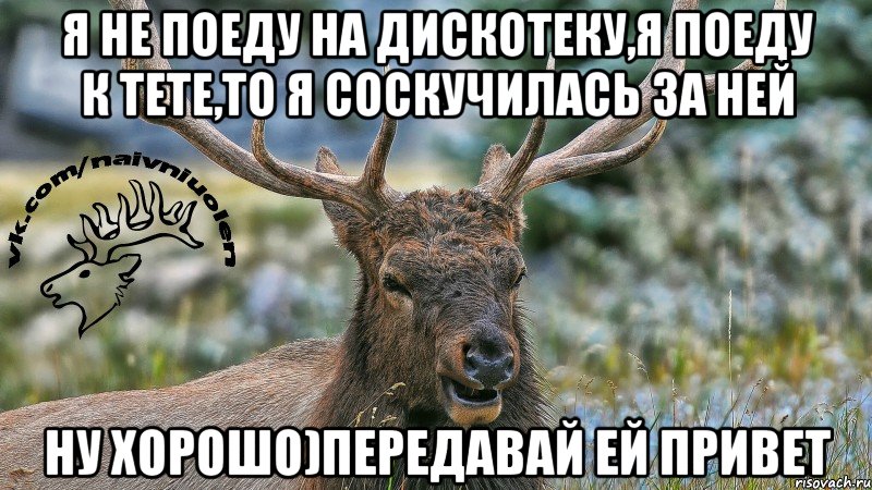 Я не поеду на дискотеку,я поеду к тете,то я соскучилась за ней ну хорошо)передавай ей привет