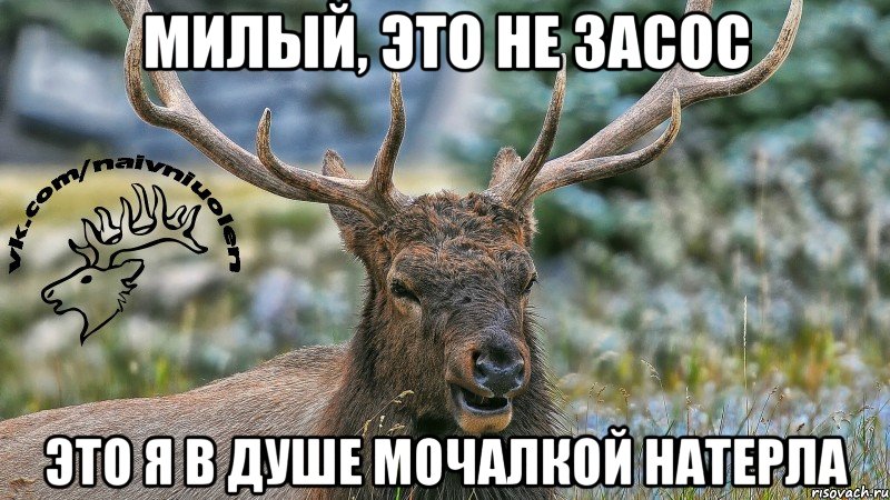 милый, это не засос это я в душе мочалкой натерла