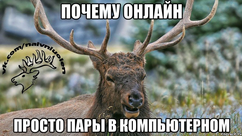 почему онлайн просто пары в компьютерном