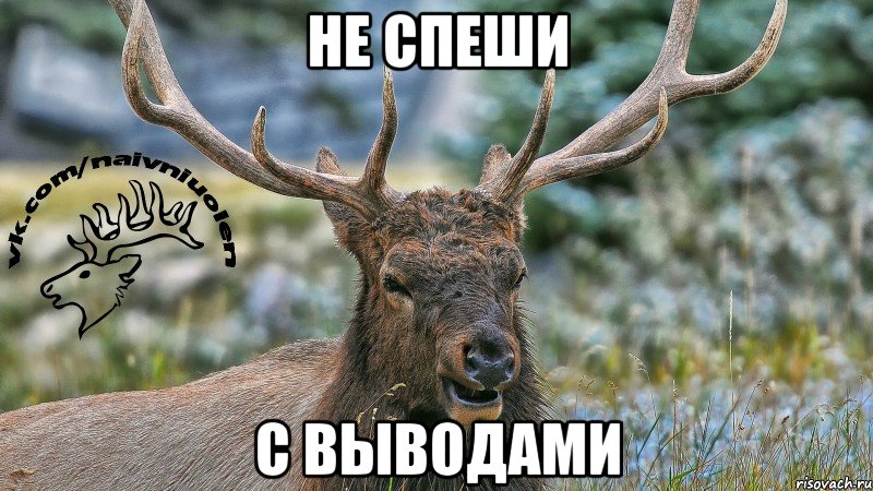 не спеши с выводами