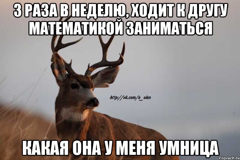 3 раза в неделю, ходит к другу математикой заниматься какая она у меня умница, Мем Наивный Олень
