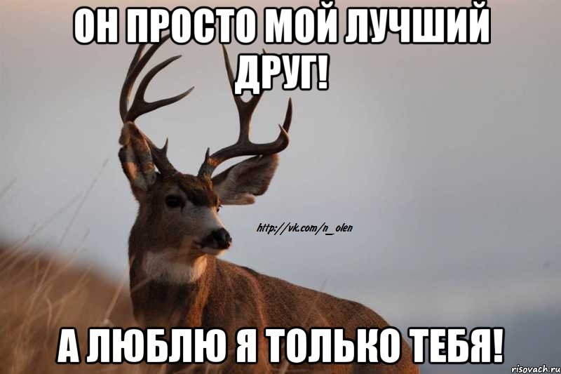 он просто мой лучший друг! а люблю я только тебя!, Мем Наивный Олень
