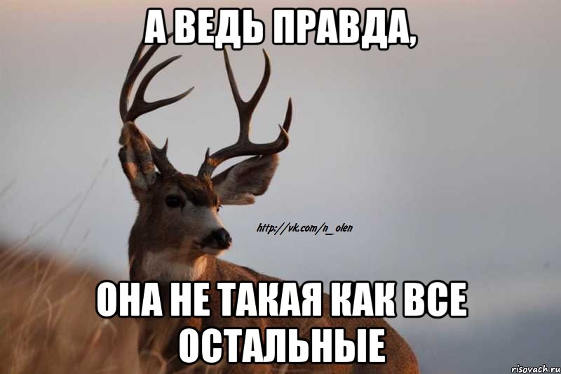 а ведь правда, она не такая как все остальные