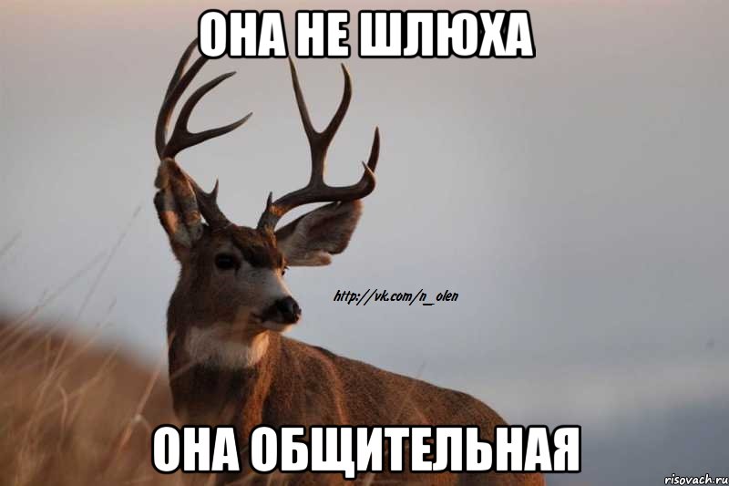 она не шлюха она общительная