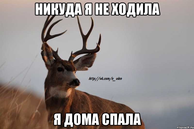 никуда я не ходила я дома спала