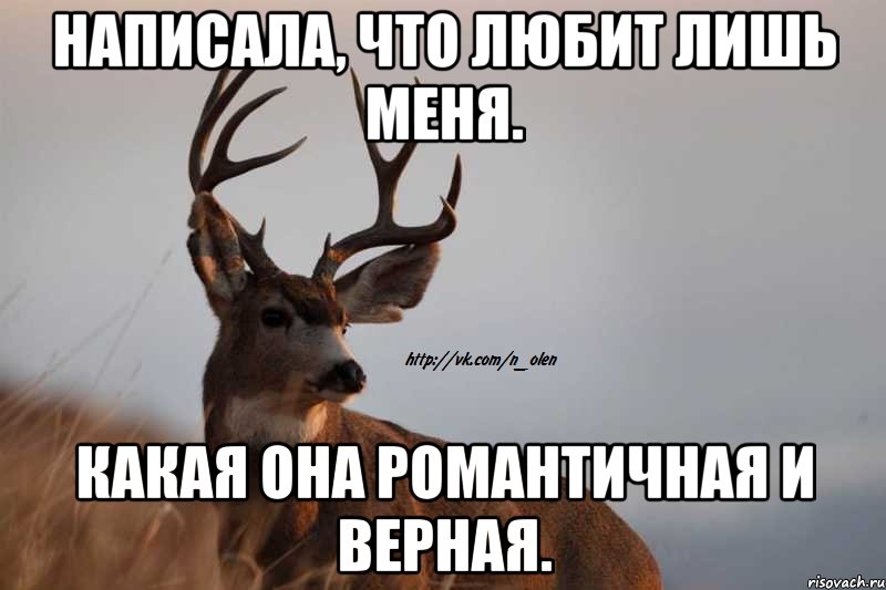Написала, что любит лишь меня. Какая она романтичная и верная.