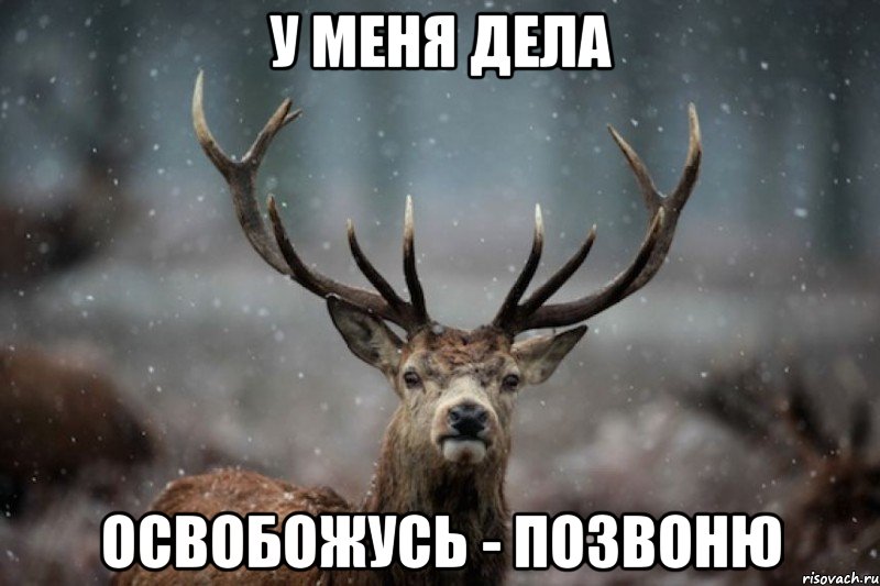 у меня дела освобожусь - позвоню