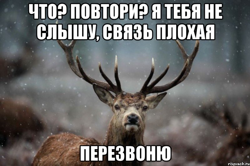 Что? Повтори? Я тебя не слышу, связь плохая ПЕРЕЗВОНЮ
