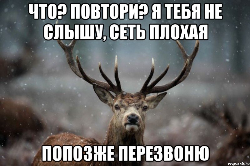 Что? Повтори? Я тебя не слышу, сеть плохая попозже перезвоню