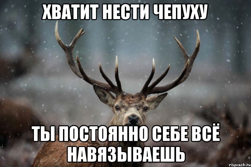хватит нести чепуху ты постоянно себе всё навязываешь