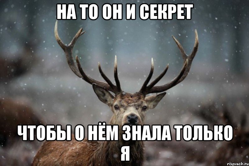 На то он и секрет чтобы о нём знала только я