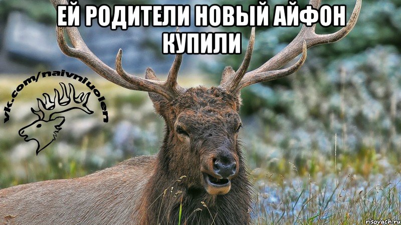 Ей родители новый айфон купили 