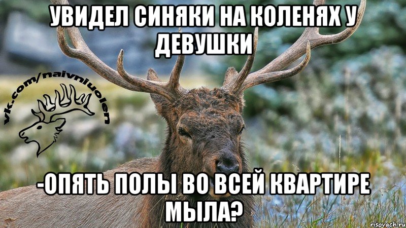 увидел синяки на коленях у девушки -Опять полы во всей квартире мыла?