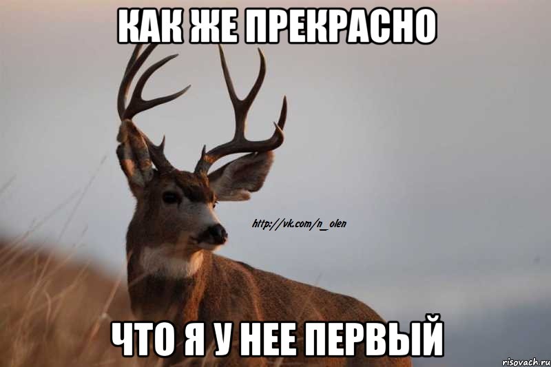 как же прекрасно что я у нее первый
