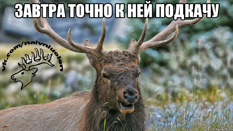 Завтра точно к ней подкачу 