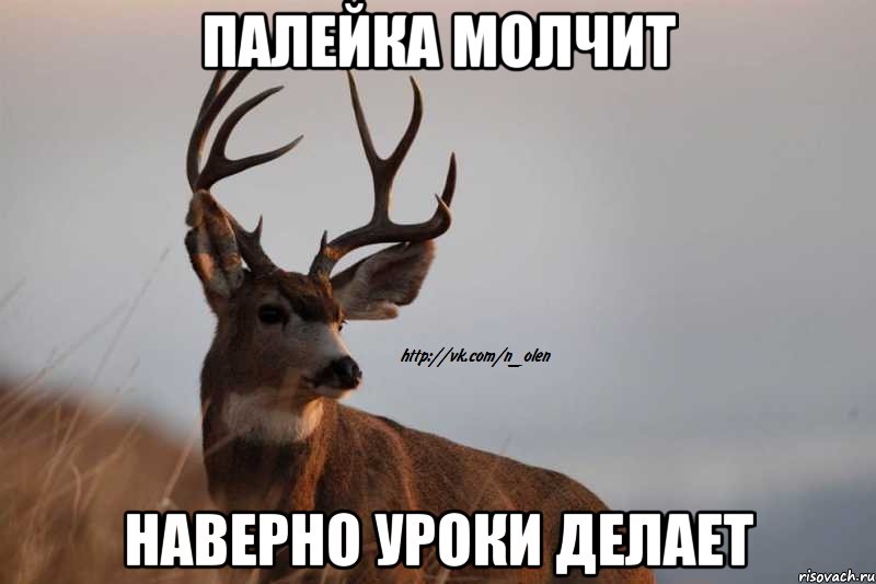 палейка молчит наверно уроки делает