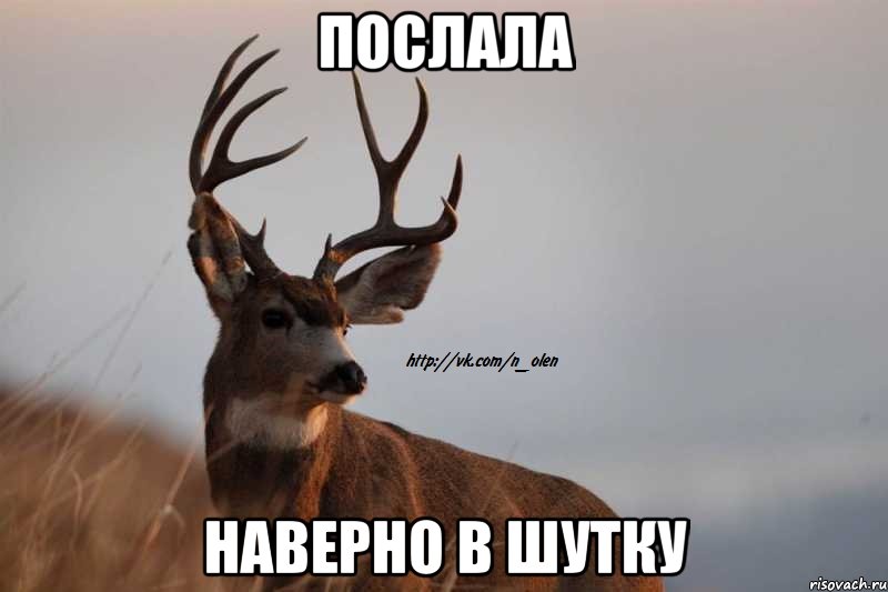 послала наверно в шутку, Мем Наивный Олень