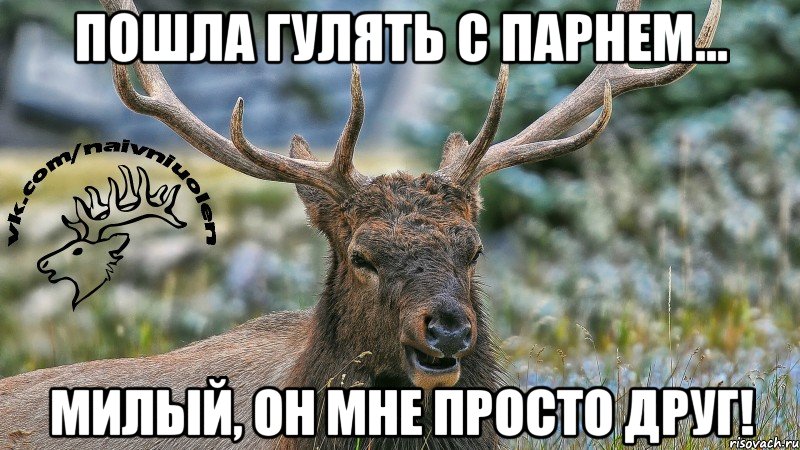 Пошла гулять с парнем... Милый, он мне просто друг!