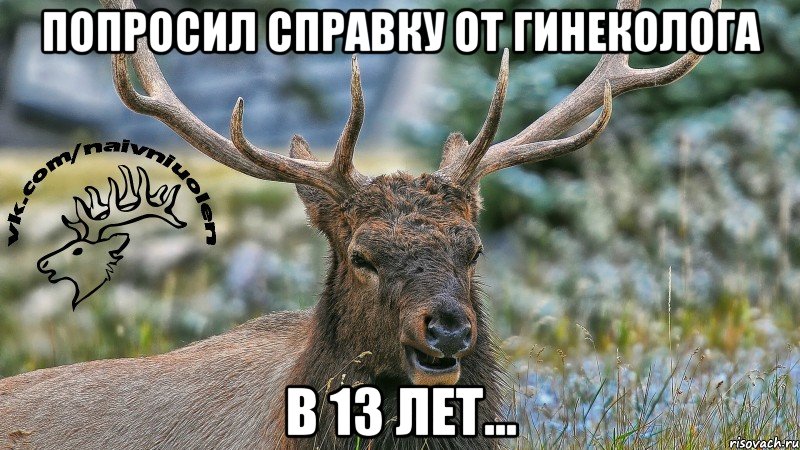 Попросил справку от гинеколога В 13 лет...