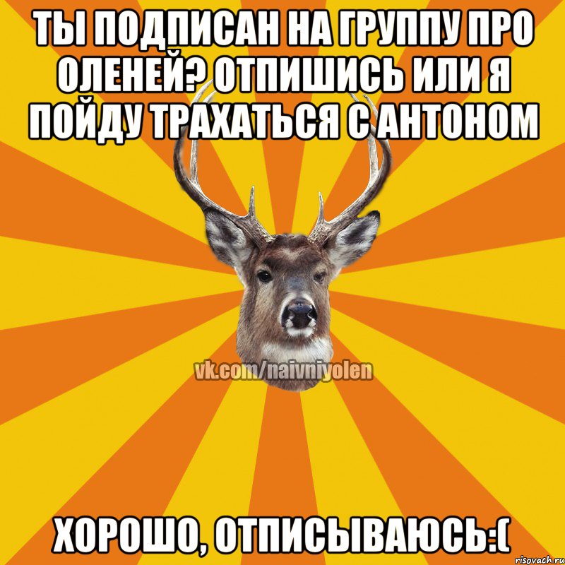 ТЫ ПОДПИСАН НА ГРУППУ ПРО ОЛЕНЕЙ? ОТПИШИСЬ ИЛИ Я ПОЙДУ ТРАХАТЬСЯ С АНТОНОМ ХОРОШО, ОТПИСЫВАЮСЬ:(, Мем Наивный Олень вк