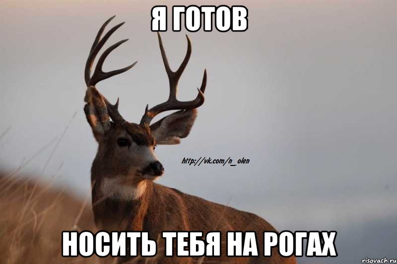 я готов носить тебя на рогах, Мем Наивный Олень