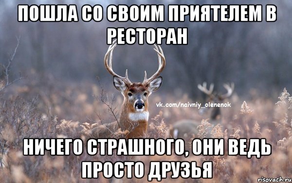 пошла со своим приятелем в ресторан ничего страшного, они ведь просто друзья, Мем  Наивный Олененок