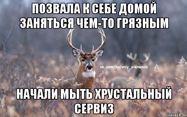 Позвала к себе домой заняться чем-то грязным Начали мыть хрустальный сервиз, Мем  Наивный Олененок